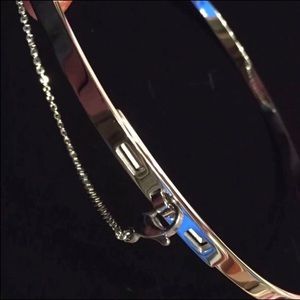 Silver Thin Safety Chain Choker Necklace